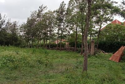 1 ac Land at Kona Baridi