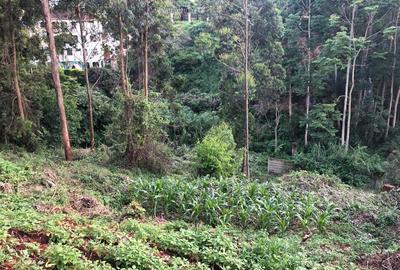 Land in Kitisuru - 3