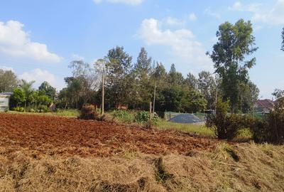 0.25 ac Residential Land at Mhasibu