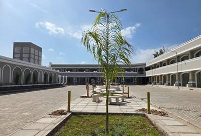 Commercial Property with Backup Generator in Diani