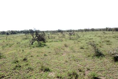 Land in Naivasha