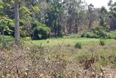 Residential Land at Flem Tree Off Ruaka Road - 2