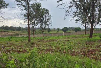 0.1 ha Residential Land at Thika Green