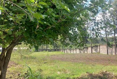 1.30 ac Residential Land in Karen