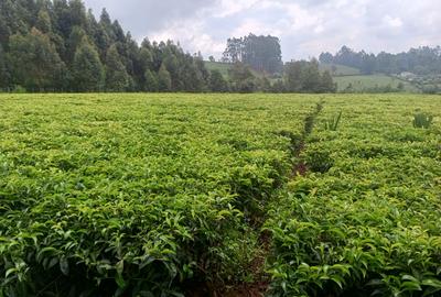 1 ac Land at Riara Ridge - 4