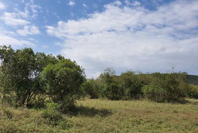 5 ac Land at Sangare Conservancy - 2