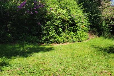 Land at Manyani