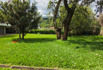 Commercial Property with Backup Generator in Lavington - 4