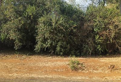 Residential Land at Tumbili Road