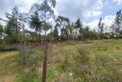 0.5 ac Residential Land in Karen - 3