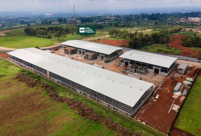 10,459 m² Warehouse with Backup Generator at Tilisi - 4