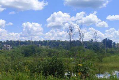0.25 ac Residential Land in Tatu City