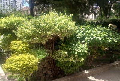 Residential Land in Kilimani - 4