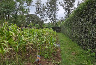 Residential Land for Sale in Karen