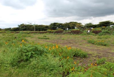 0.5 ac Residential Land in Langata - 4