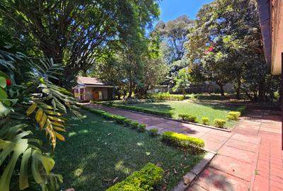 Commercial Property with Parking in Lavington