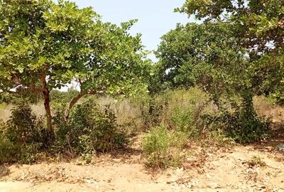 4 ac Land at Matsangoni - 2
