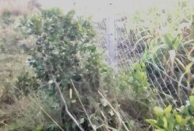 10,000 ft² Land at Marura-Nturukuma - 4