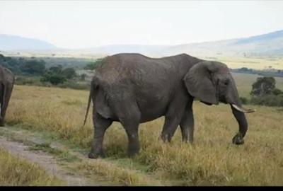 33 ac Land at Narok County - 2