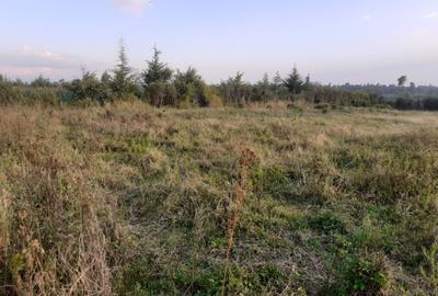 0.5 ac Residential Land in Nanyuki - 2