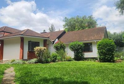 Commercial Property with Fibre Internet in Lavington