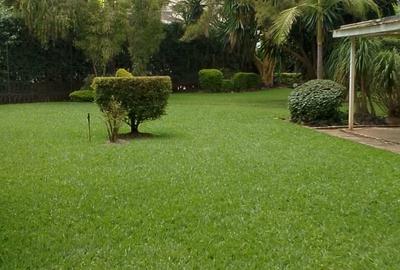 Land in Ngong Road