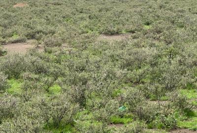 0.045 ha Land at Magadi Road