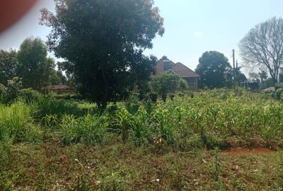 1 ac Land at Ngecha - 4