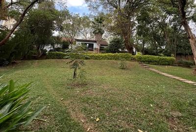 Commercial Property with Fibre Internet in Lavington