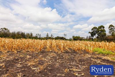 Residential Land at Olooitikoshi - 2