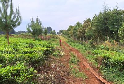 1 ac Land at Limuru Girls