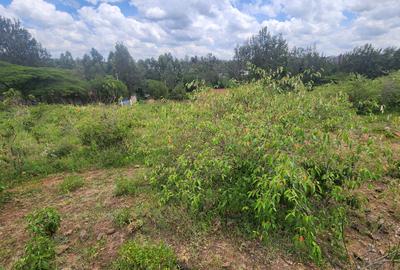 0.2 ha Commercial Land at Merisho Road - 3