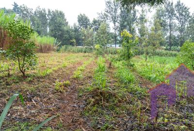 0.5 ac Land at Karen Road - 4