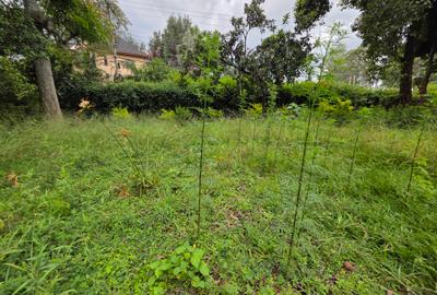 Commercial Land in Lavington - 3