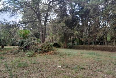 0.9 ac Land at Donyo Sabuk Road