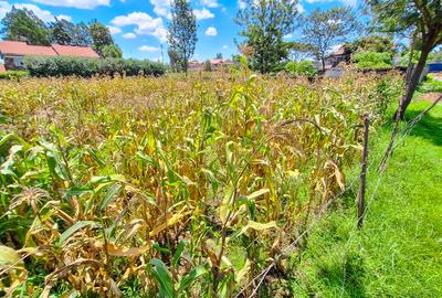 0.25 ac Land in Nakuru