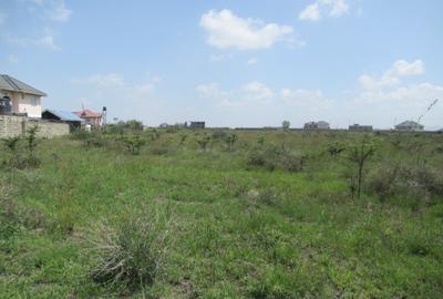 6.1 ac Land at Sabaki - 3