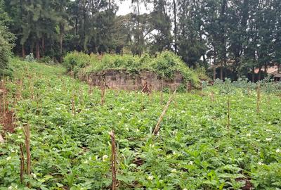 Commercial Land in Ngong - 3