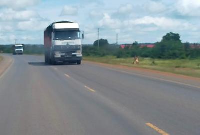 12,950 m² Commercial Land in Kilifi - 4