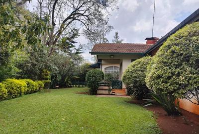 0.8 ft² Commercial Land at Majimzuri - 4