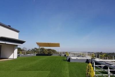 Serviced 2 Bed Apartment with En Suite at Runda - 2