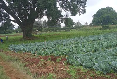 1 ac Residential Land in Redhill
