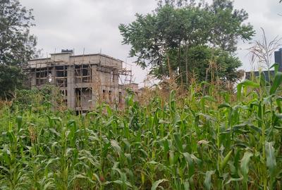 0.046 ha Land in Tatu City