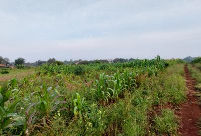 Land at Kitisuru Kirawa