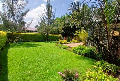 3 Bed House with En Suite in Nyari