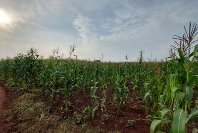 Land at Kitisuru Road