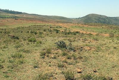 20,235 m² Land in Ndeiya