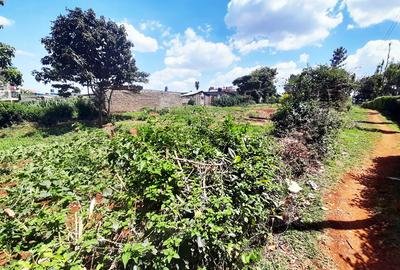 Land in Ruaka