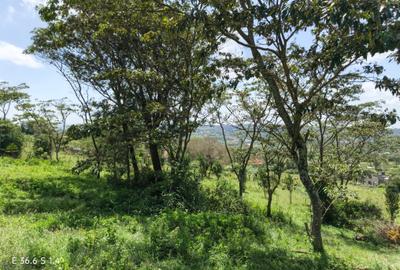 0.25 ac Land at Kibiko - 2