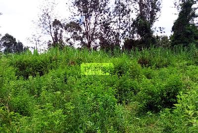 0.64 ac Residential Land in Thindigua